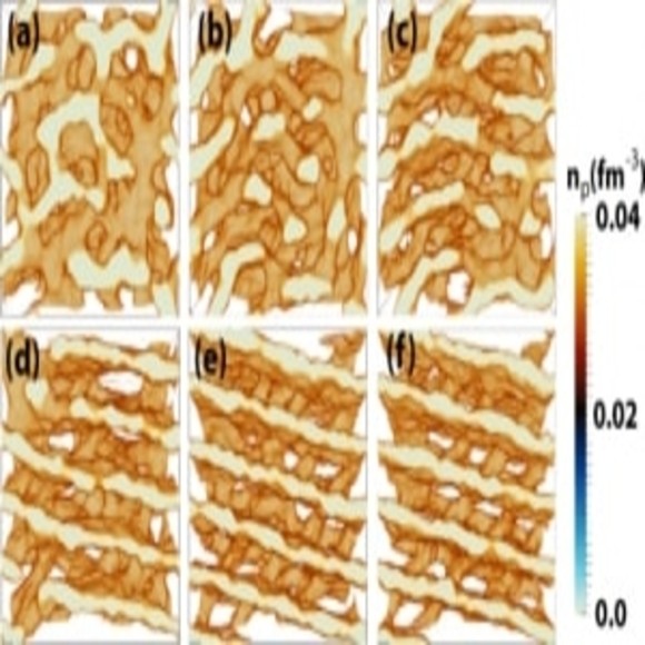 Nuclear Pasta: Cell Biology Meets Astrophysics - BioTechniques