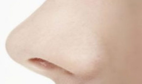inside the human nose
