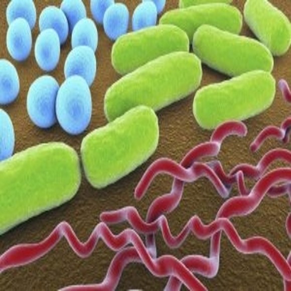 Three Rules for Making a Broad-Spectrum Antibiotic - BioTechniques