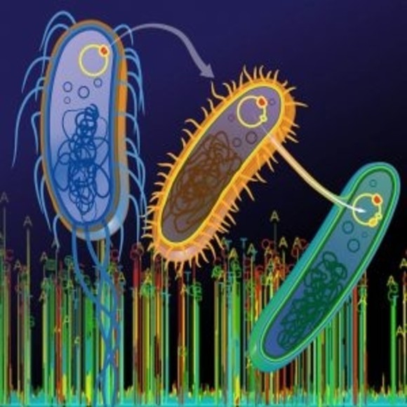 Microbial Instincts – Medium