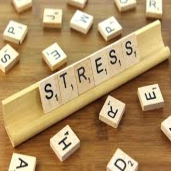 The Epigenetics of Stress - BioTechniques