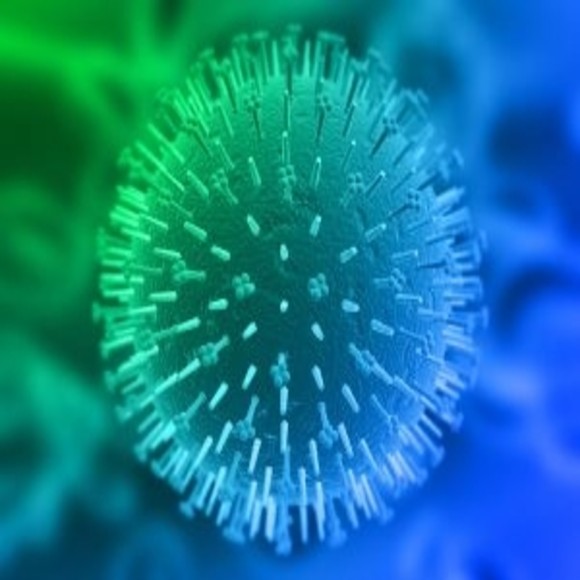 Epstein Barr Virus Increases Risk For Diseases Biotechniques