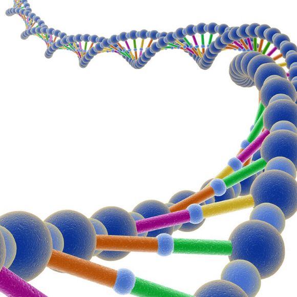 when was human genome mapped