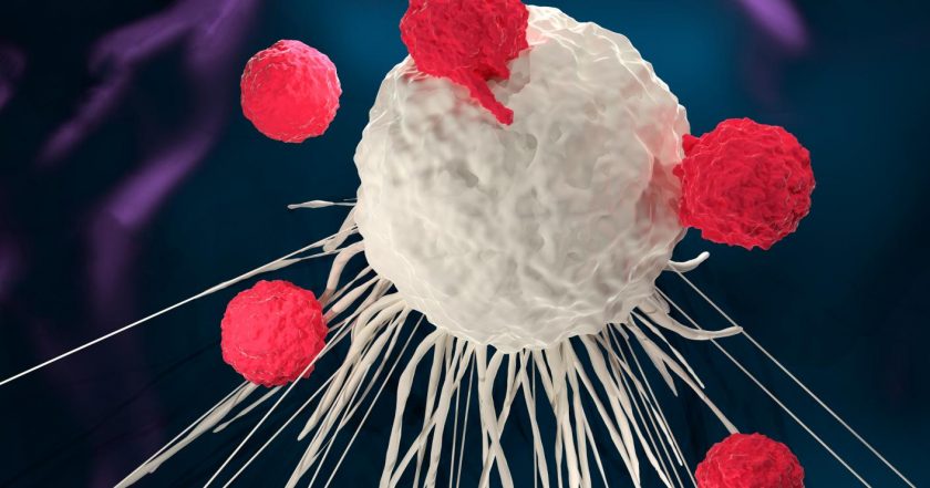 pembrolizumab-new-first-line-for-head-and-neck-cancer-biotechniques