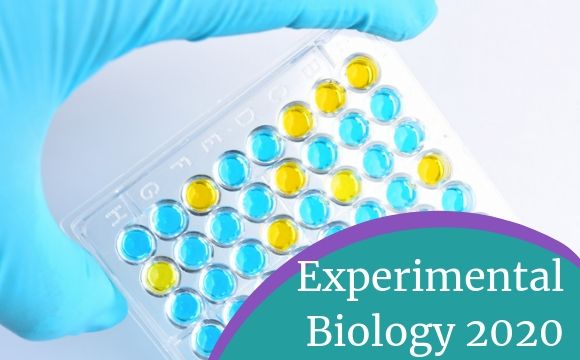 experimental biology medicine