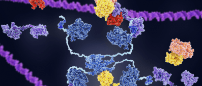 DNA origami puts CRISPR enzymes in a twist - BioTechniques