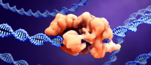 CRISPRoff, CRISPRon and on-target mutation detection - BioTechniques