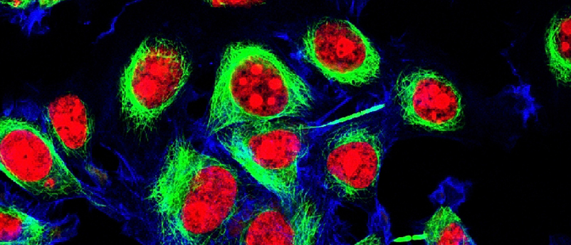 Could Nanocomputing Agents Control Cell Behavior? - BioTechniques