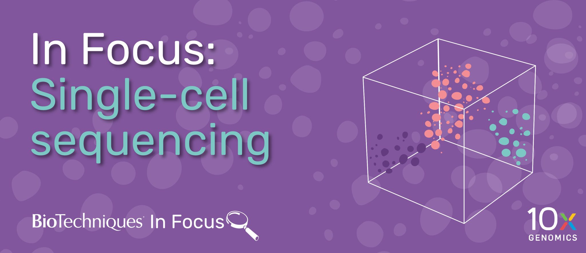 In Focus Single Cell Sequencing Biotechniques