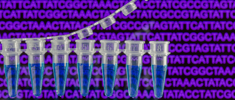 40 Years Of PCR BioTechniques   PCR Listicle 