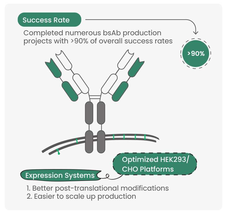 Antibody–drug Conjugates: A Novel Paradigm For Cancer Therapy ...