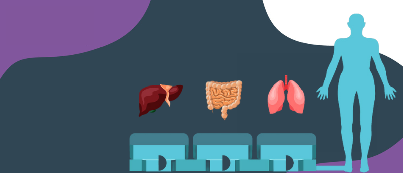 Infographic: Top tips for integrating organ-on-a-chip - BioTechniques