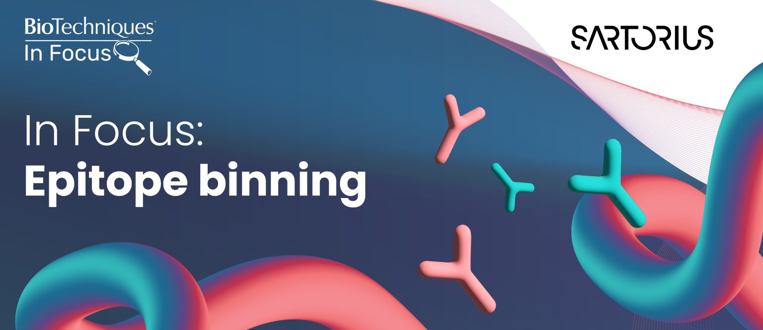 In Focus: Epitope binning - BioTechniques