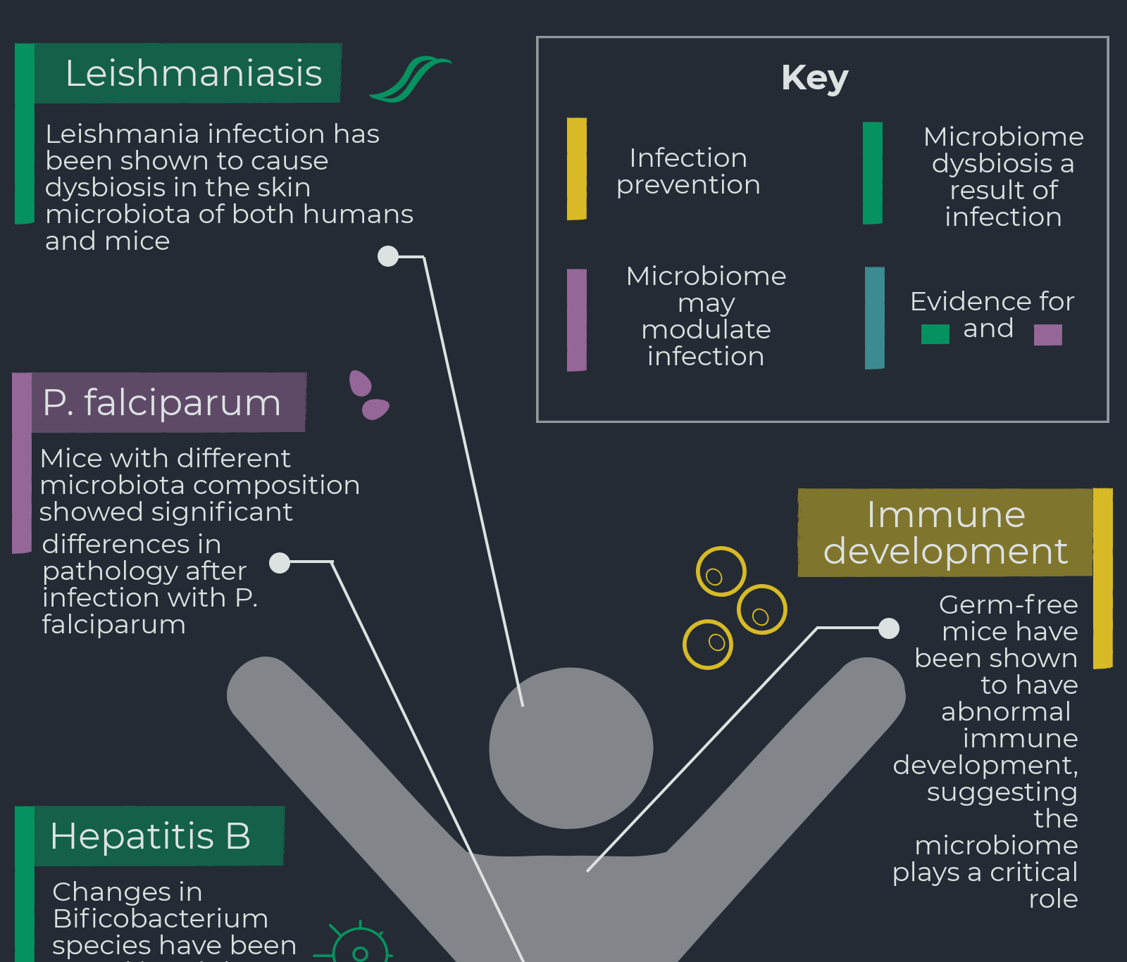 Infographic: The Microbiome And Infectious Diseases - BioTechniques